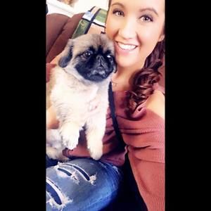 Meet your Posher, Casey